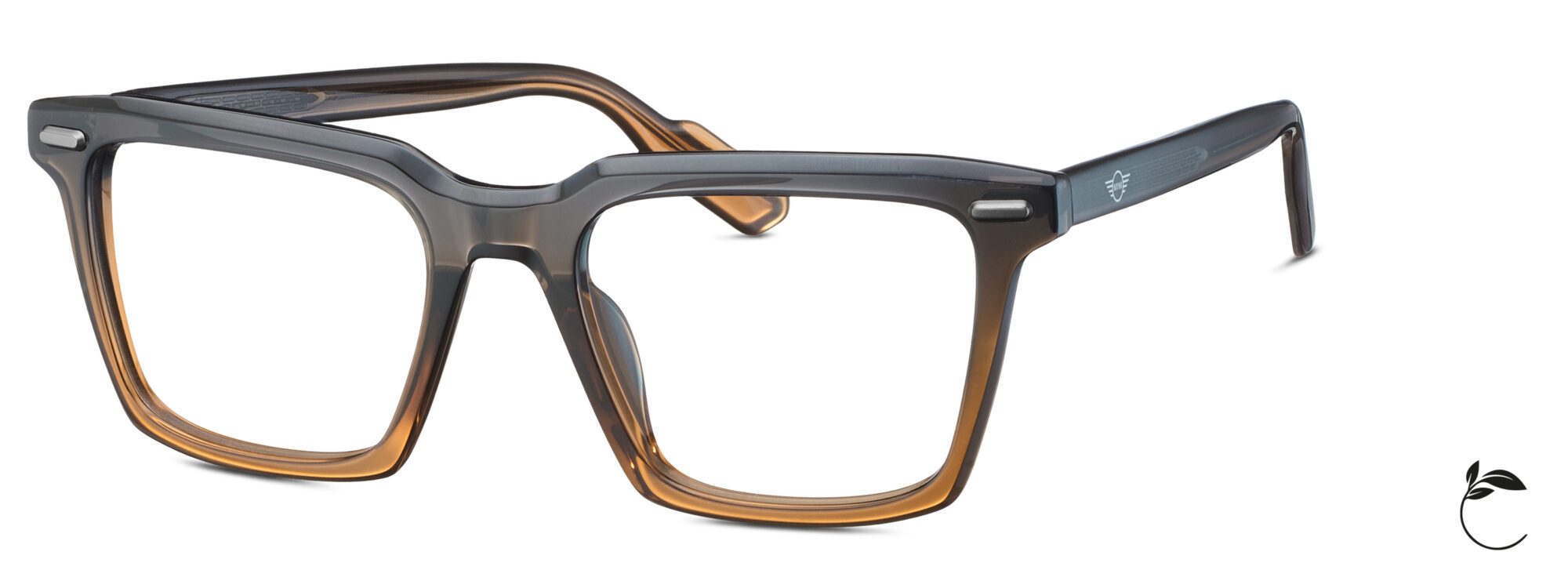 Eschenbach Eyewear - 743039-36