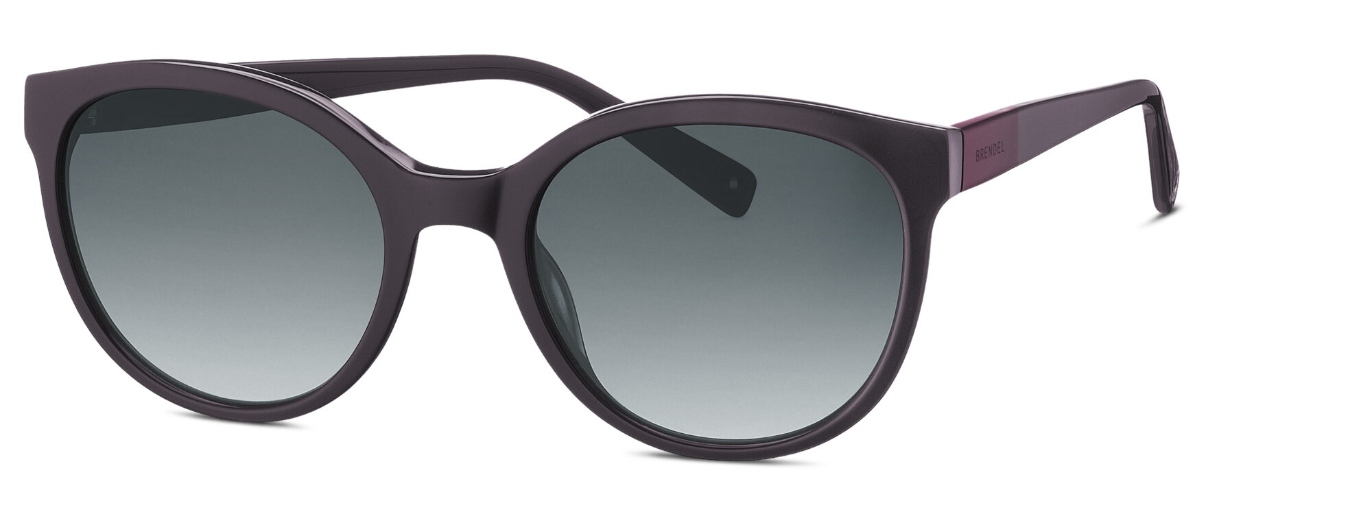 Eschenbach Eyewear - 906195-50
